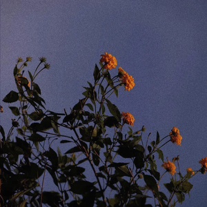 中文乱码字字幕在线国语
