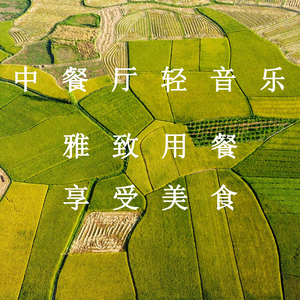 中文乱码字字幕在线国语
